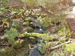 149 BIO PARC DE DOUE LA FONTAINE 3- 2016_000037